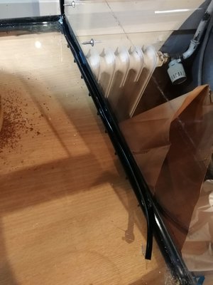 IMG_20180303_184409.jpg