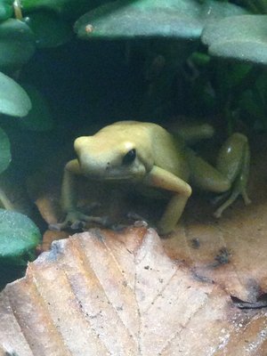 IMG_1462.JPG