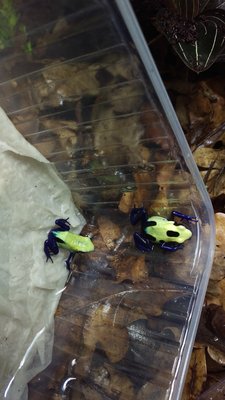 IMAG0857.jpg