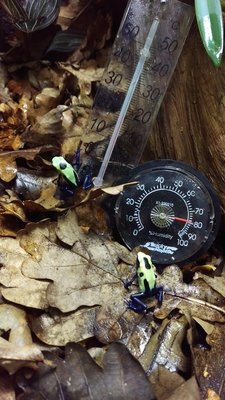 IMAG0858.jpg