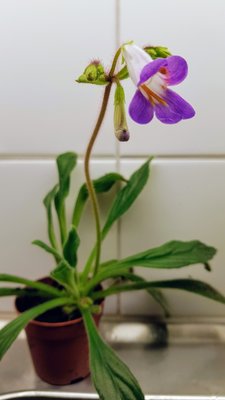 20180415_221211.jpg