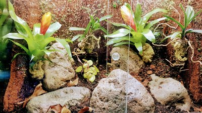 20180415_221345.jpg