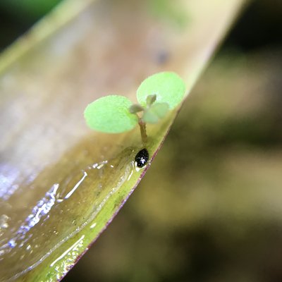 IMG_5482.JPG