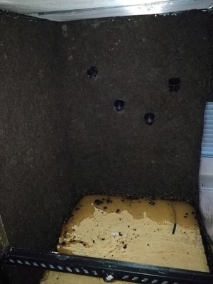 IMG_20180428_212125.jpg