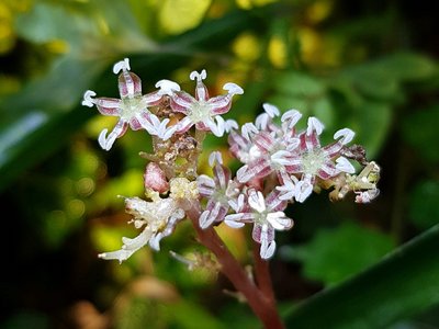 20180429_202044.jpg
