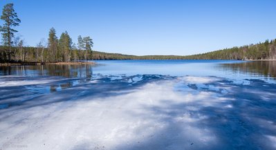 _IMG3170.jpg