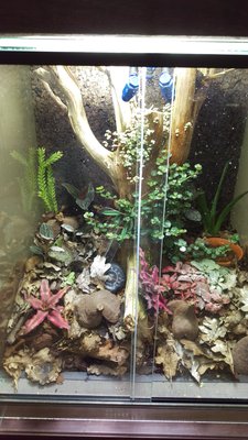 IMAG0913.jpg