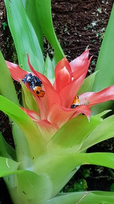 20180422_194929.jpg