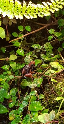 20180616_214633.jpg