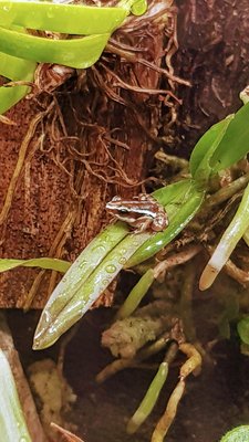20180616_214742.jpg