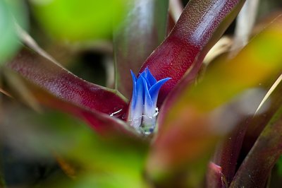 D14_4208.JPG