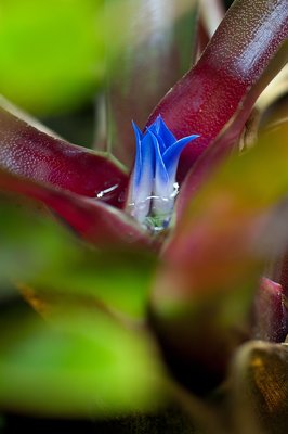 D14_4219.JPG