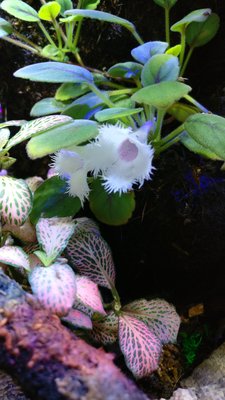 IMG_20180822_175217.jpg