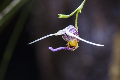 _IMG6712.jpg