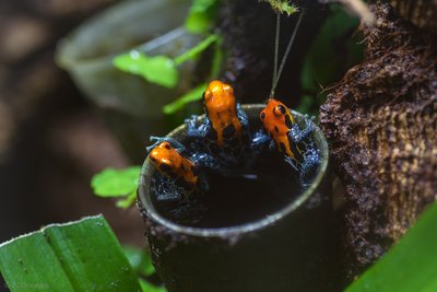 _IMG6720.jpg