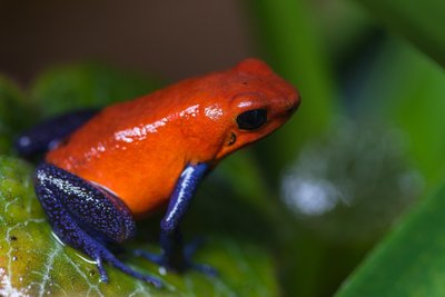 _IMG6730.jpg