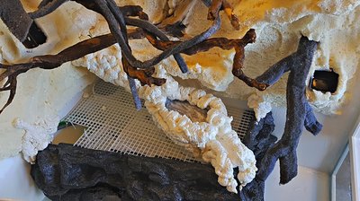 2018-10-14_15-29-55_HDR.jpg