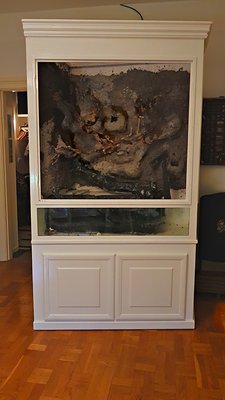 2018-12-09_19-13-40_HDR.jpg