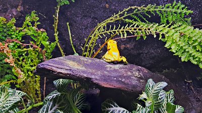 2018-12-10_17-24-20_HDR.jpg