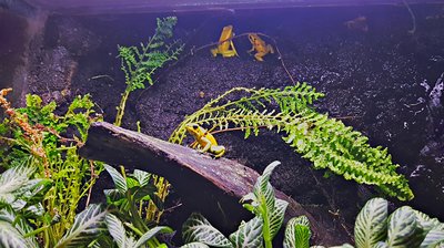 2018-12-10_17-24-07_HDR.jpg