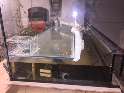 0E0827A3-CB99-46B4-B131-76E5FEC5AF51.jpeg