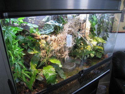 IMG_0207b.jpg