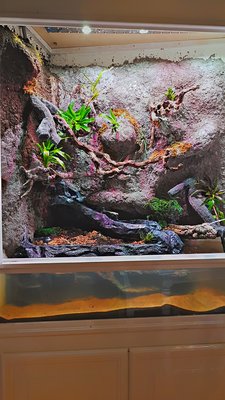 2018-12-26_15-41-22_HDR.jpg