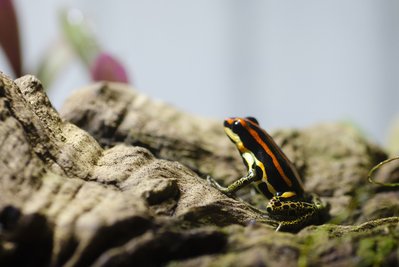 DSC_2092.jpg