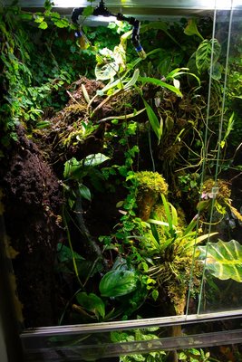 _DSC7747.jpg