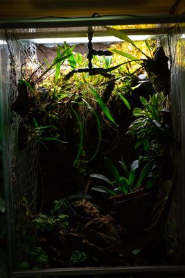 _DSC7744.jpg