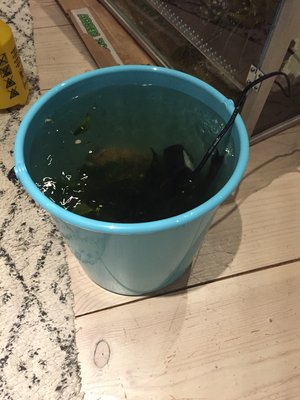 613B17FC-5D8E-4E0F-88B5-782D46510378.jpeg
