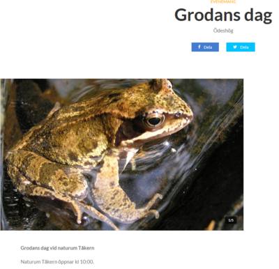 Skärmklipp.PNG