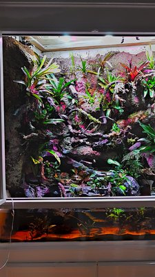 2019-03-03_20-44-08_HDR.jpg