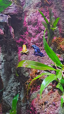 2019-03-03_11-15-13_HDR.jpg