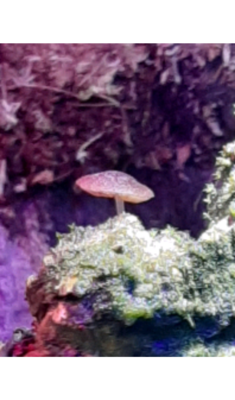 20191129_175625.png