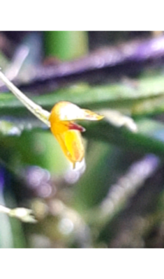20191208_144424.png