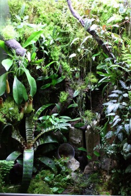 terrariet 041.jpg