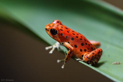 _IMG5754.jpg