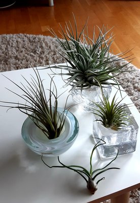 20200630_121533.jpg