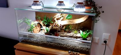 20200703_180735.jpg