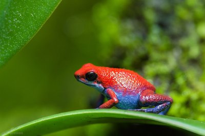 _IMG7761.jpg