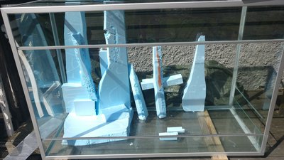 IMG_20210511_140554.jpg