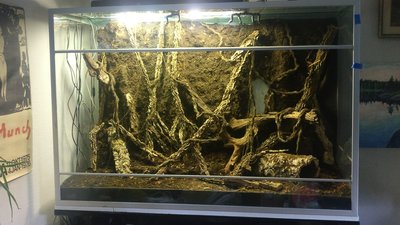 IMG_20210616_pilgift.jpg