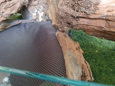 20220515_112238[1].jpg