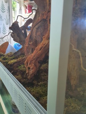20220523_172221[1].jpg