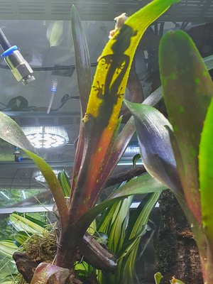 20220620_140102.jpg