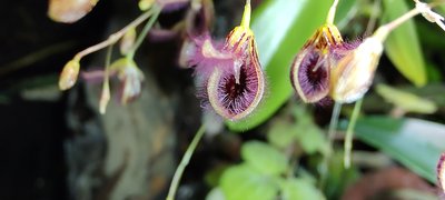 IMG_20221207_200549152.jpg