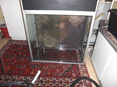 CIMG1270_001.JPG