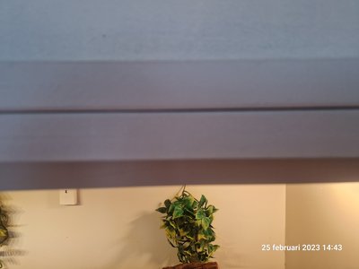 20230225_144304.jpg