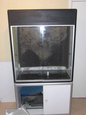 CIMG1278_001.JPG